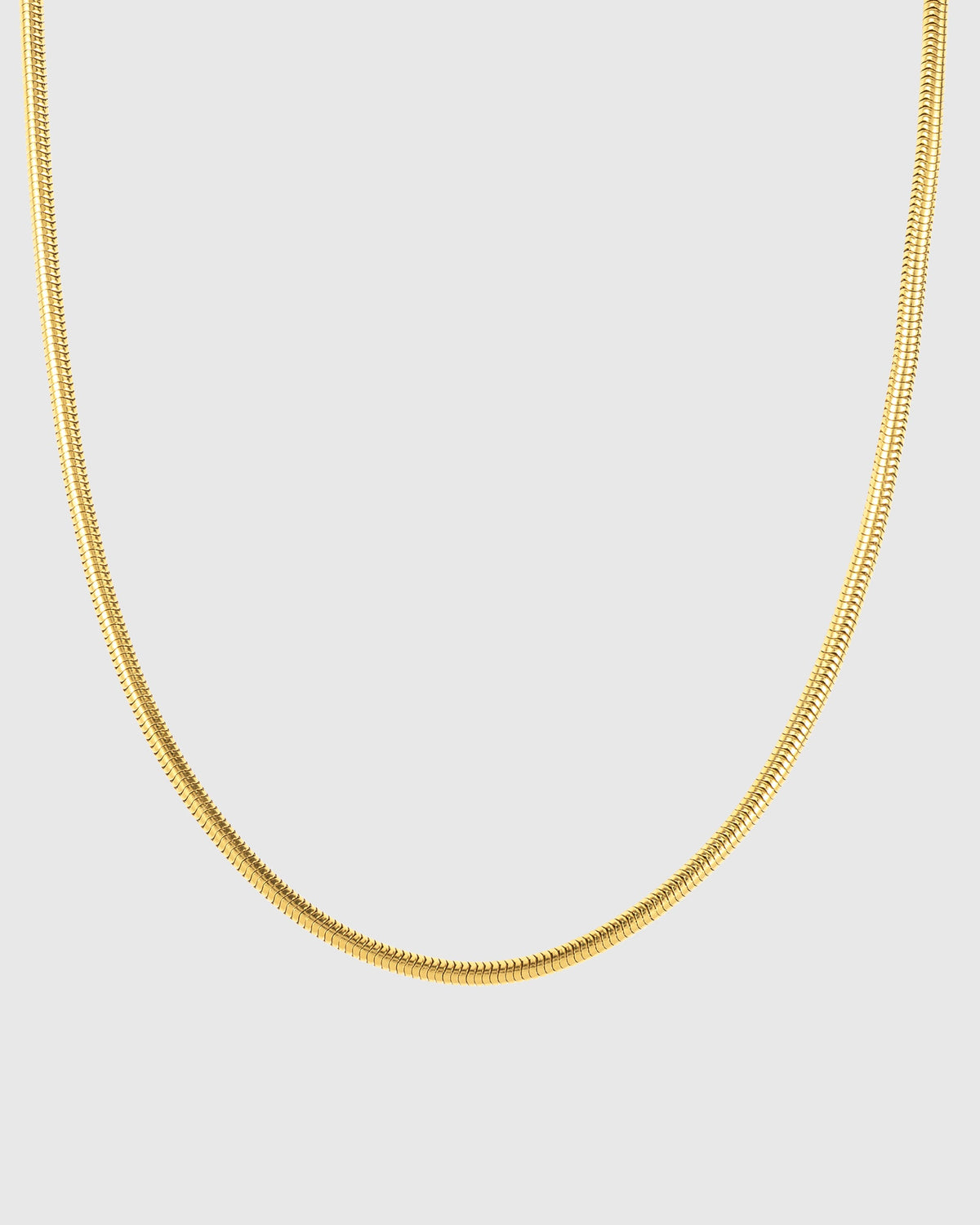 Snake Chain